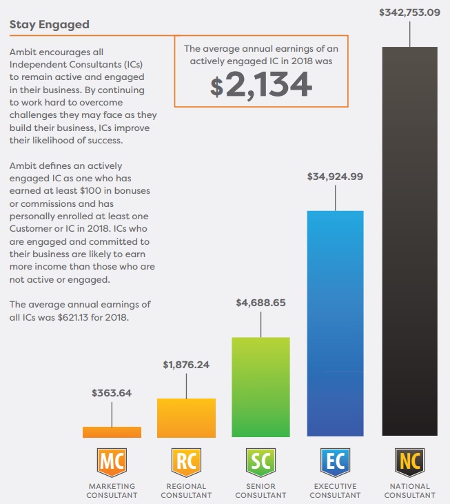 Ambit Energy earnings statement