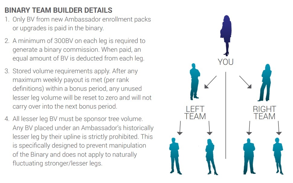 Zilis pyramid scheme binary